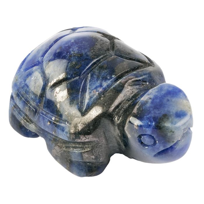 Turtle Carving