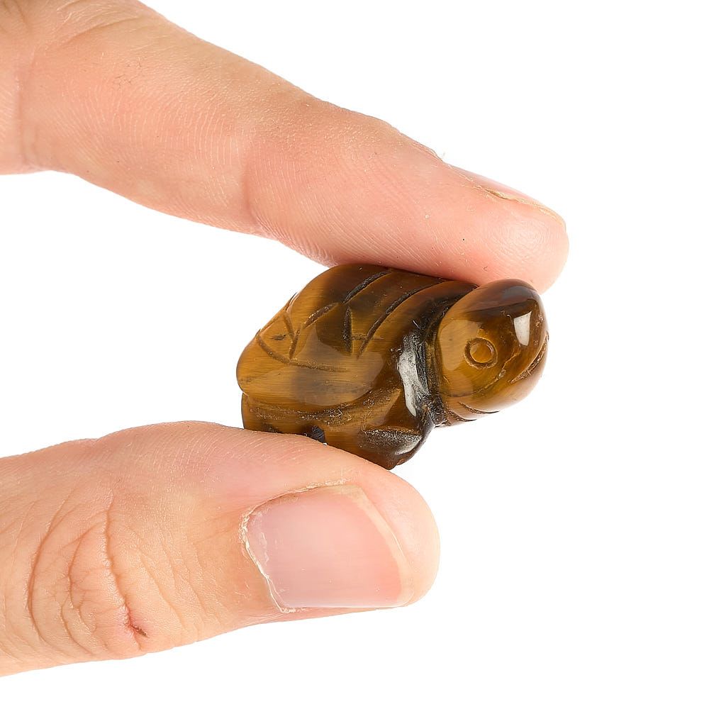 Turtle Carving