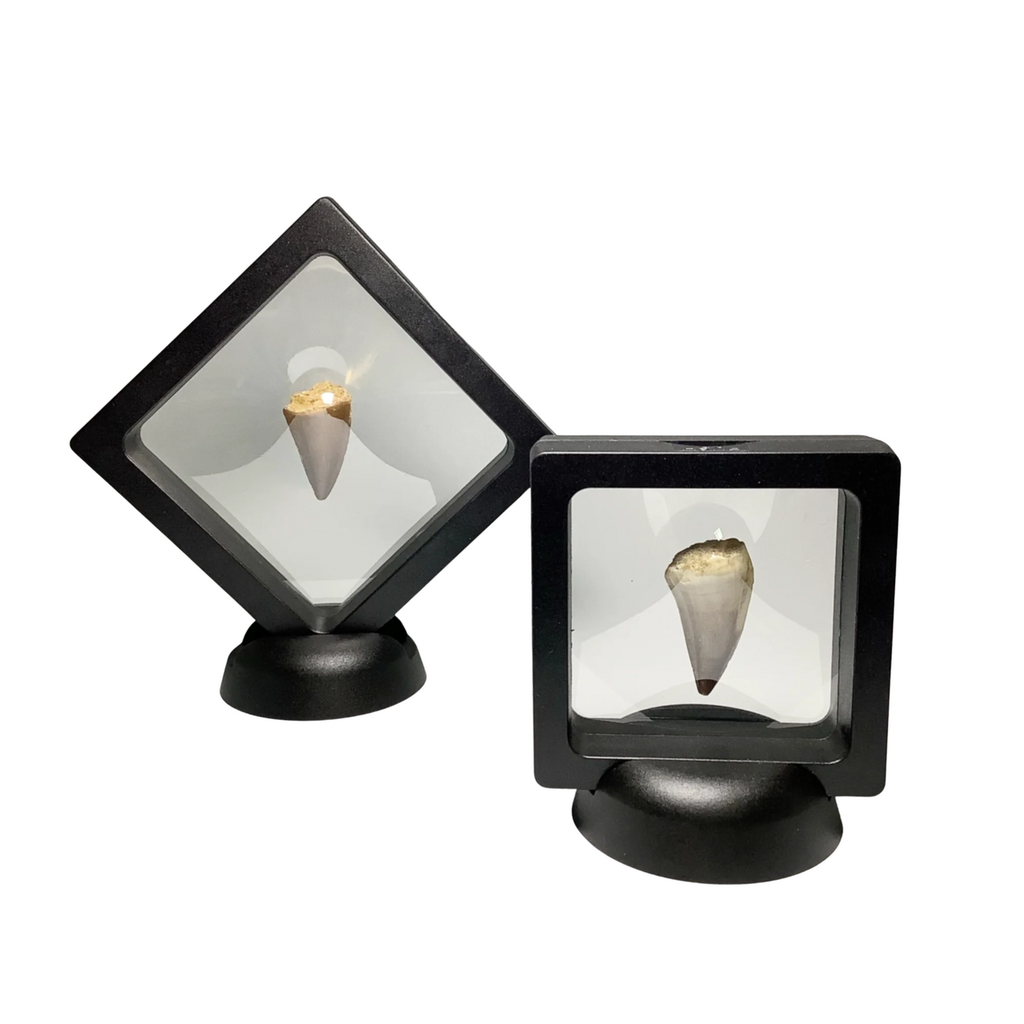 Gemstone Display Frame