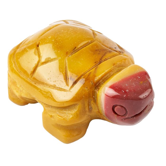 Turtle Carving