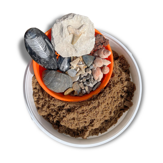 Fossil Mining Bucket