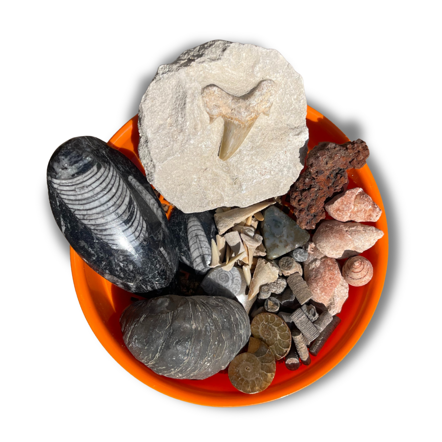 Fossil Mining Bucket
