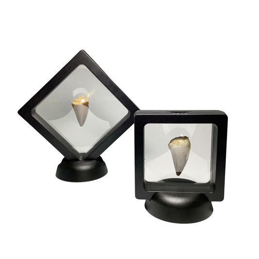 Gemstone Display Frame